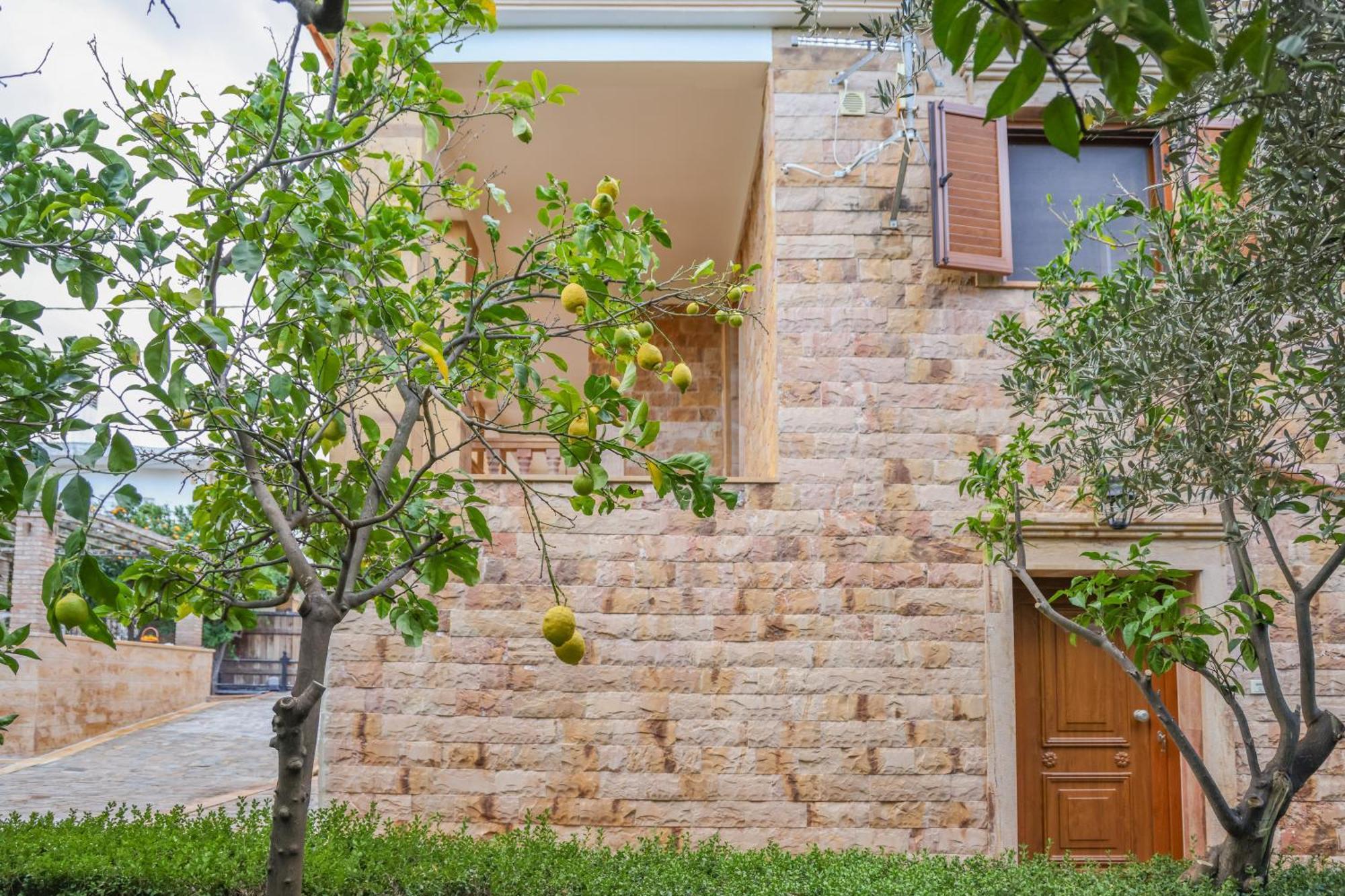 Archontiko Frideriki Luxury Apartments خيوس المظهر الخارجي الصورة